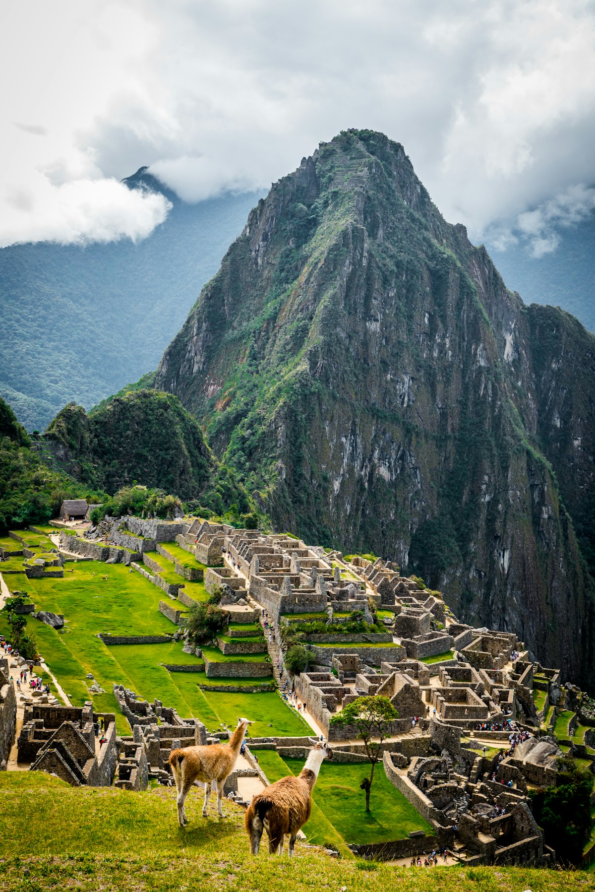 Machu Picchu: la magia de los incas en pareja