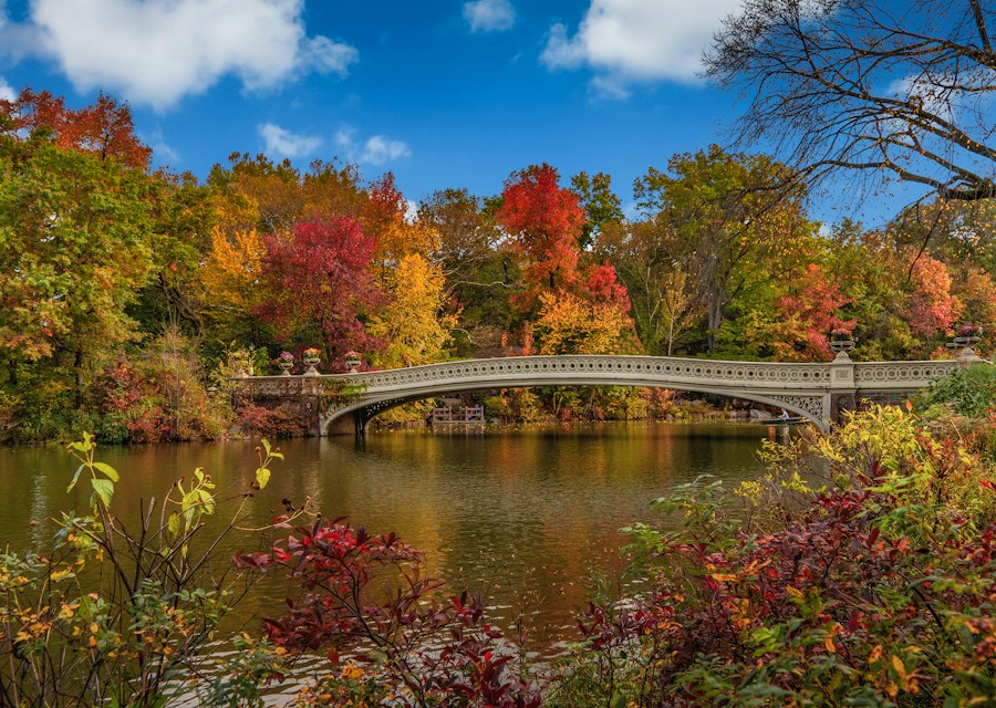 Central Park